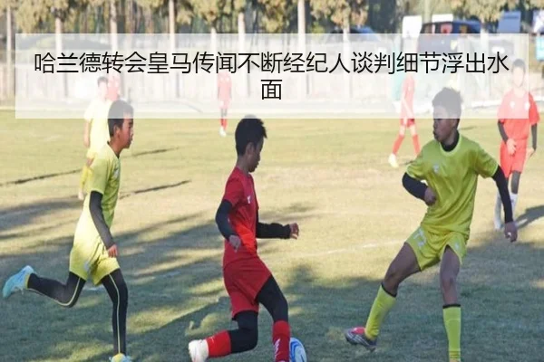 哈兰德转会皇马传闻不断经纪人谈判细节浮出水面